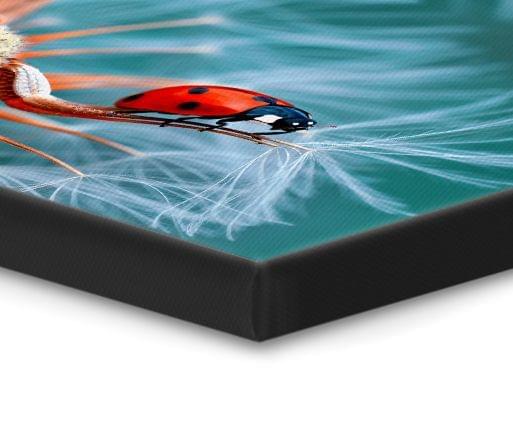photo canvas black edge