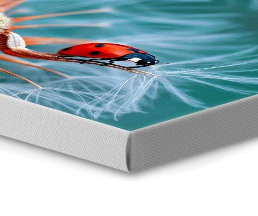 photo canvas white edge