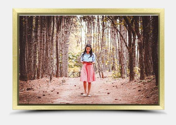 canvas print in gold frame fullview