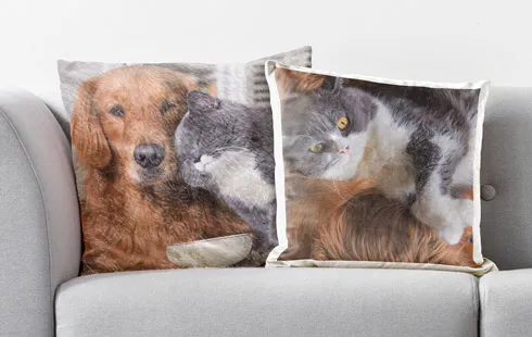 photo pillow room view