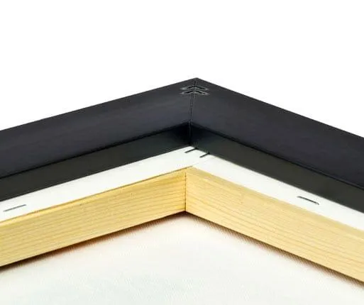 photo on canvas with black matte frame back view