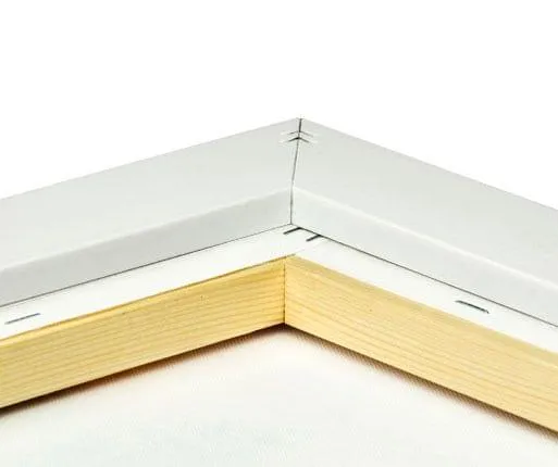 photo on canvas with silver frame back view