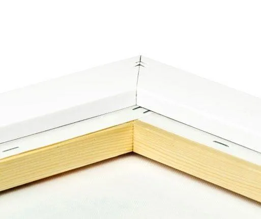 photo on canvas with white frame back view