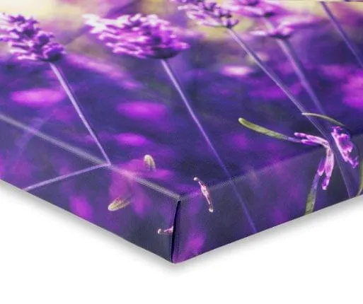 photos on canvas - mirrored edge