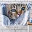 Wat is onze fotohanddoek? (detail 3)
