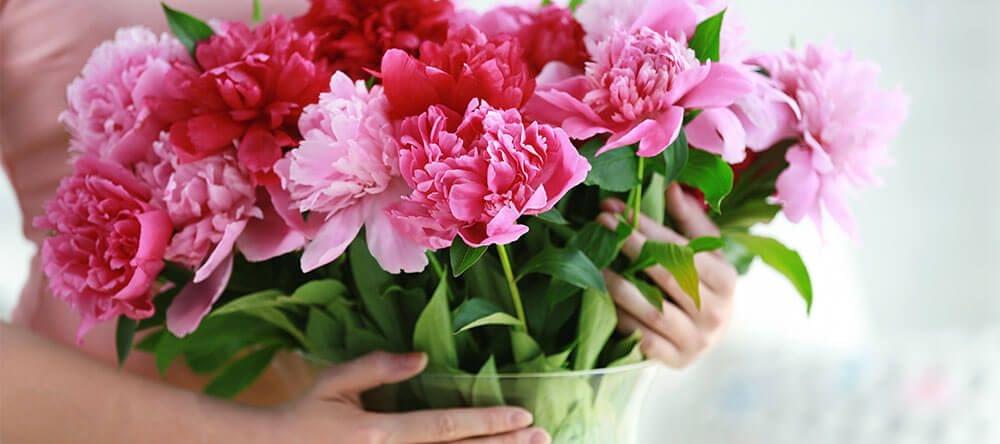Coupe les tiges dès que tu rentres chez toi, pour que les fleurs tiennent plus longtemps