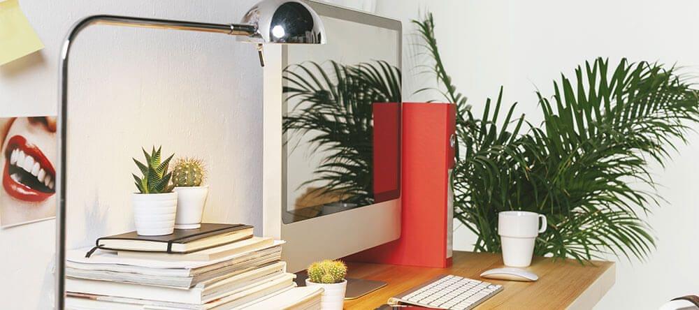 Ne négligez pas l'importance des plantes d'intérieur – elles sont un bienfait pour le corps et l'esprit