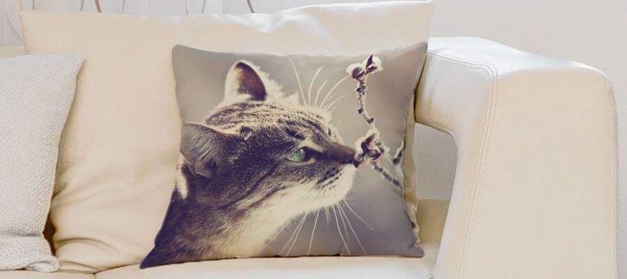 Modernes et exotiques : les housses de coussin avec imprimés animaliers
