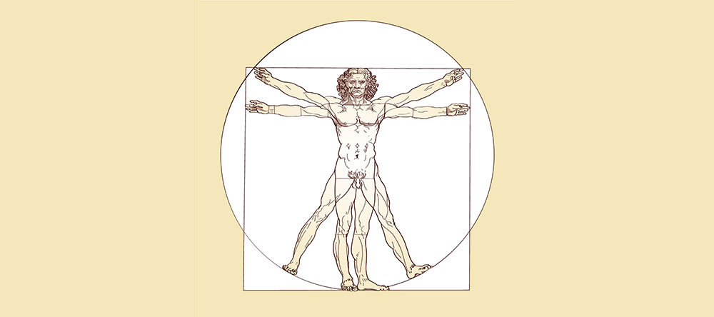 L'homme de vitruve de Léonard de Vinci