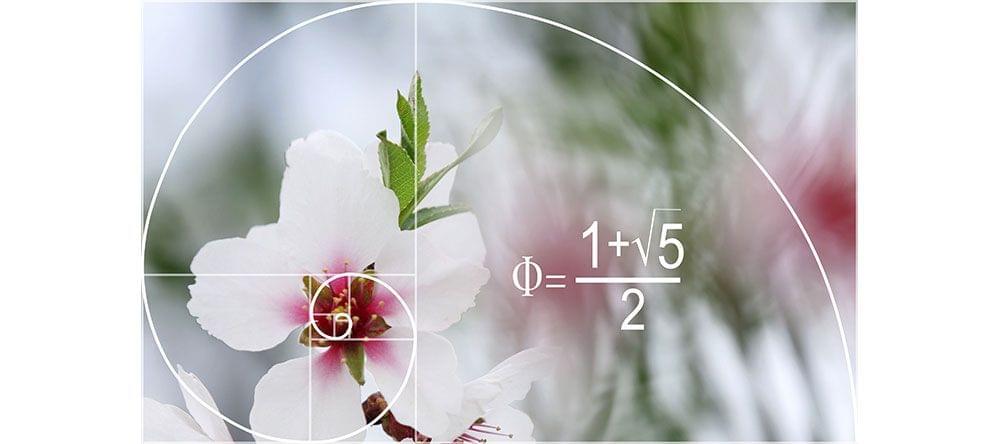 Selon les mathématiques: La spirale du nombre d’or a une influence sur notre perception de la beauté.