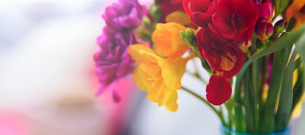 Fais le test des combinaisons de couleurs sur les plantes en pot et les fleurs coupées