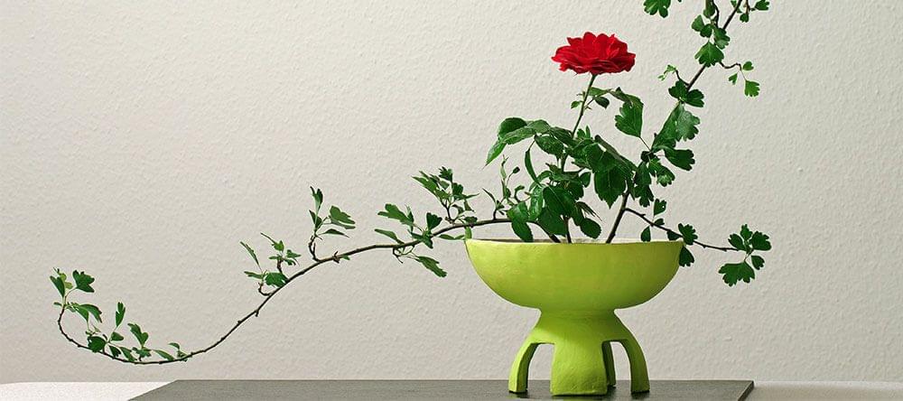Tu peux modeler tes plantes dans des vases intéressants, selon le modèle des anciens.
