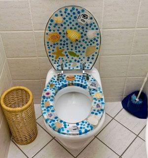 On bannit les cuvettes de toilettes à motifs