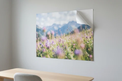 A self-adhesive photo poster stuck to a wall with one corner peeled back