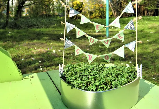 DIY Kresse-Schale: Kreatives und nachhaltiges Geschenk