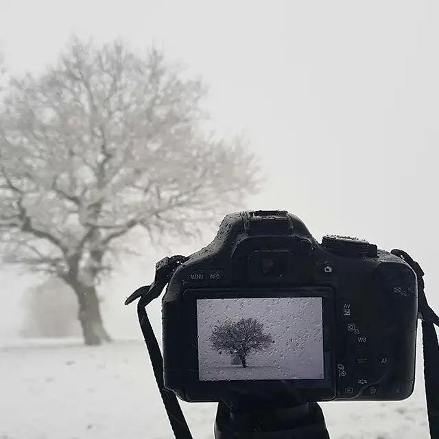 Fotos im Schnee: eine Herausforderung für Kamera und Co.