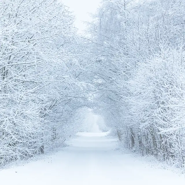 Fotografieren im Schnee: Einstellungen für deine Kamera
