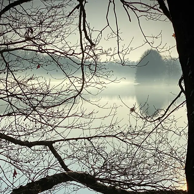 Winterfotos im Nebel: Bilder mit mystischer Atmosphäre