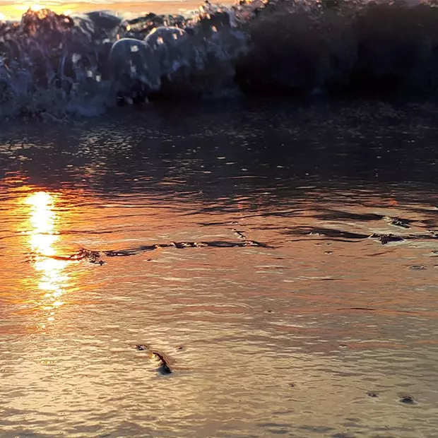 Blaue Stunde: Wellen bei Sonnenuntergang.