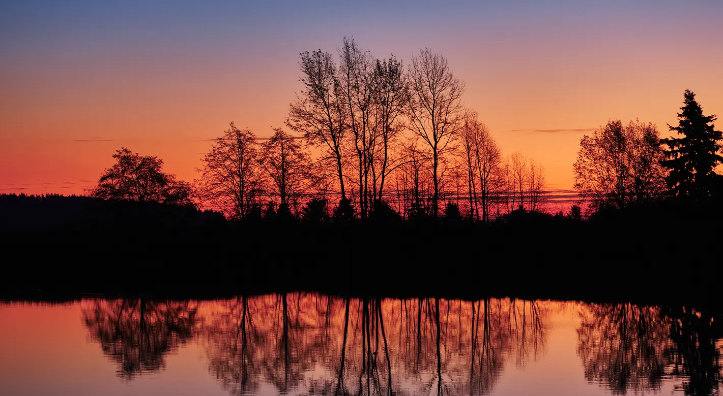 Blaue Stunde: Mit atemberaubender Spiegelung der Baumreihe.