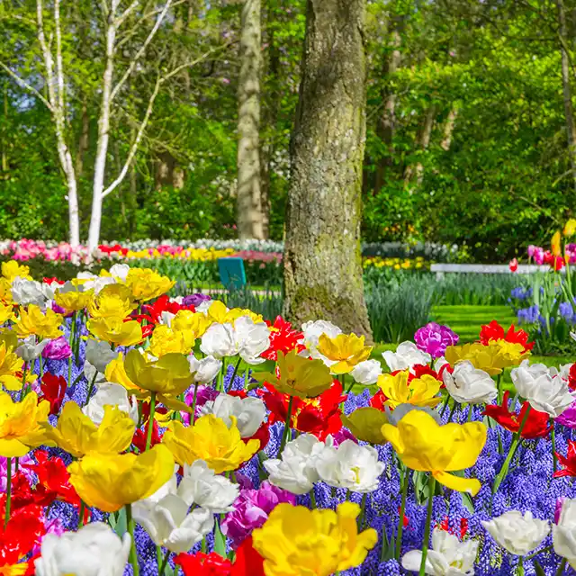 Bunte Frühlingsfotos: Setze auf Farben und Kontraste