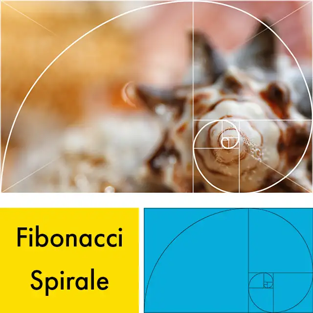 Goldener Schnitt weitergeführt: Fibonacci Spirale