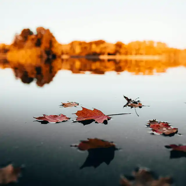 Herbstfotografie für Spiegelungen bunter Landschaften