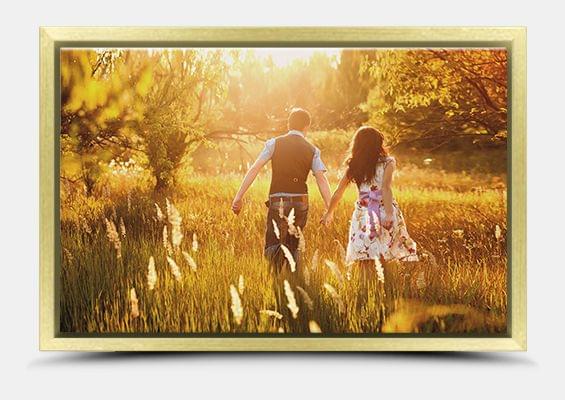 canvas print in gold frame full view