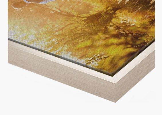 canvas print silver frame closeup front